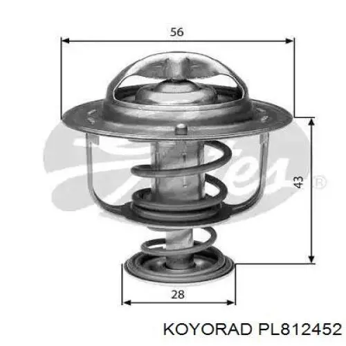 PL812452 Koyorad Радиатор основной
