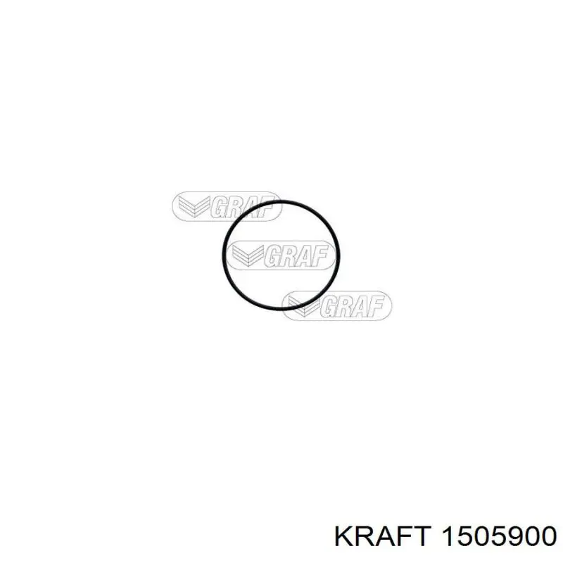 WP0250 Freccia Насос водяной