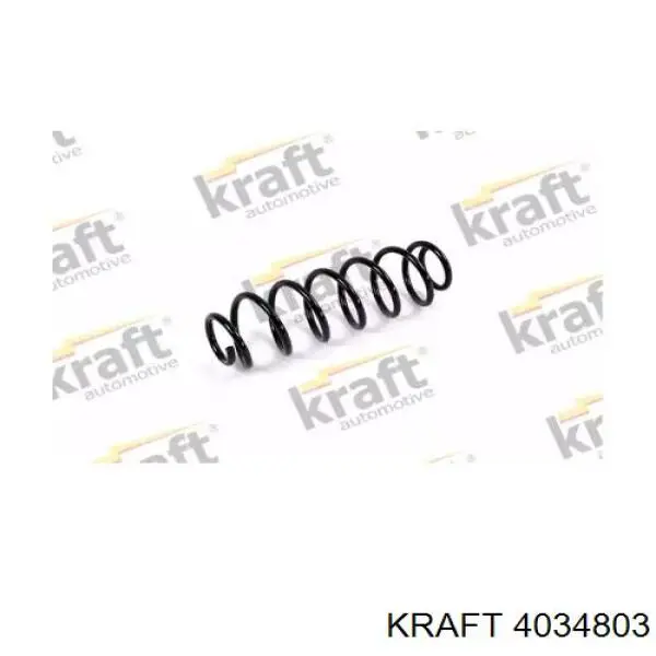 4034803 Kraft пружина задняя