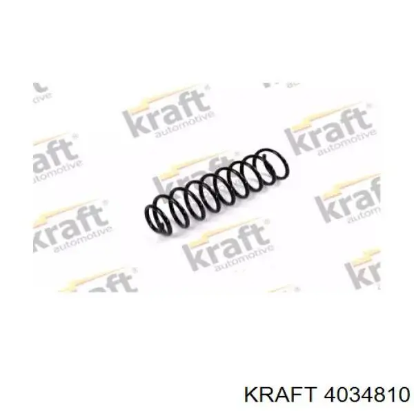 4034810 Kraft пружина задняя