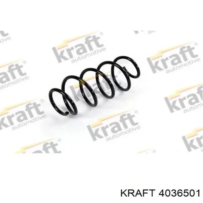 4036501 Kraft пружина задняя
