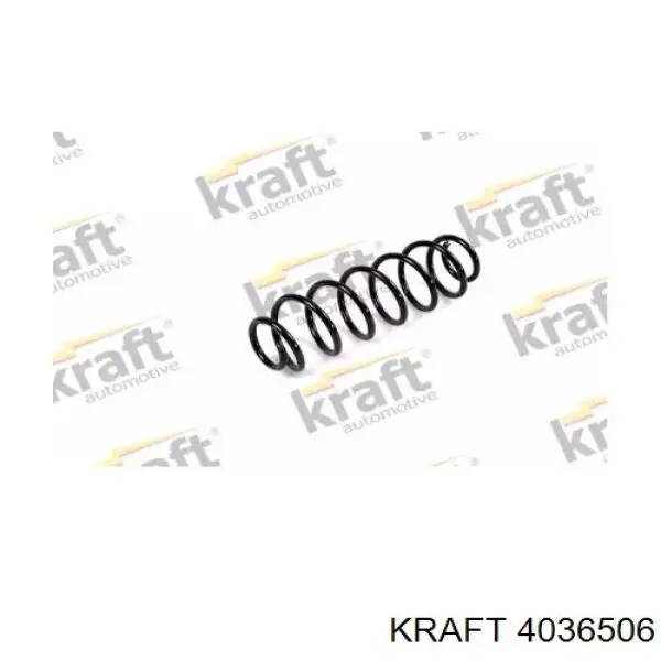 4036506 Kraft пружина задняя