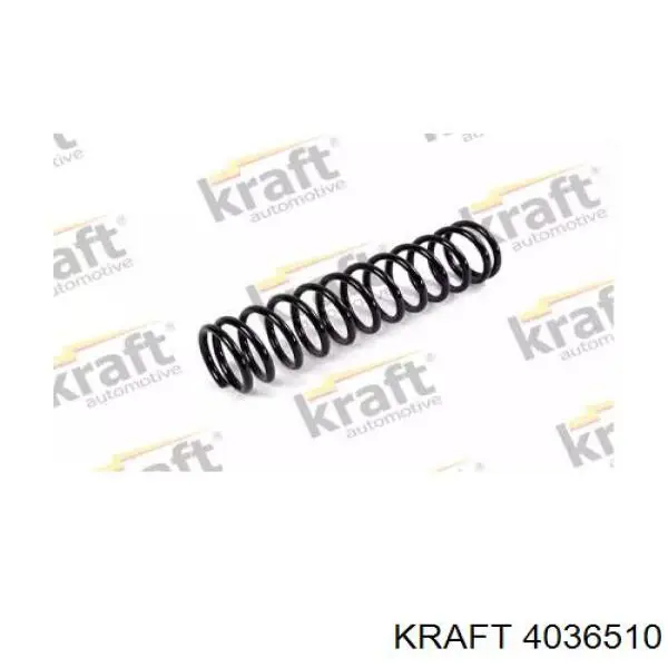 4036510 Kraft пружина задняя