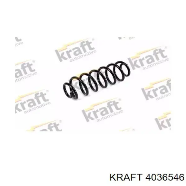 4036546 Kraft пружина задняя