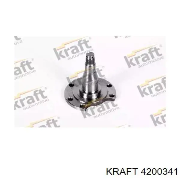 4200341 Kraft цапфа (поворотный кулак задний)