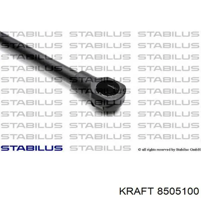 Амортизатор багажника 844300001R Renault (RVI)