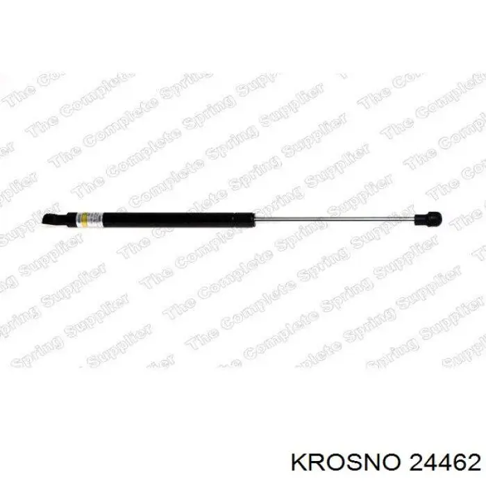 24462 Krosno 