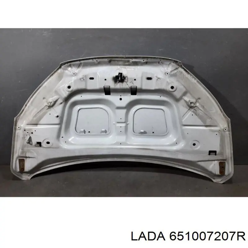  651007207R Lada