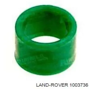 1003736 Land Rover 