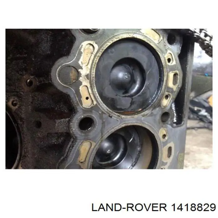  Land Rover 1418829 цена, от 359.88 USD