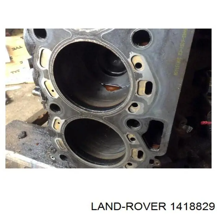  1418829 Land Rover