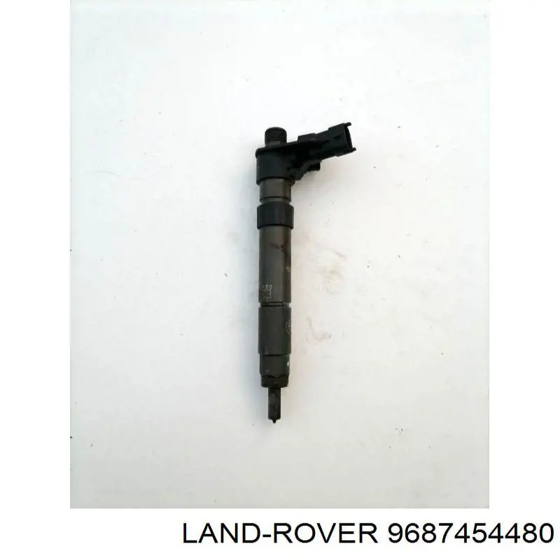 9687454480 Land Rover Топливные форсунки