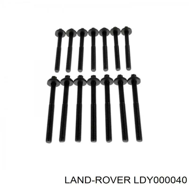 LDY000040 Land Rover болт гбц