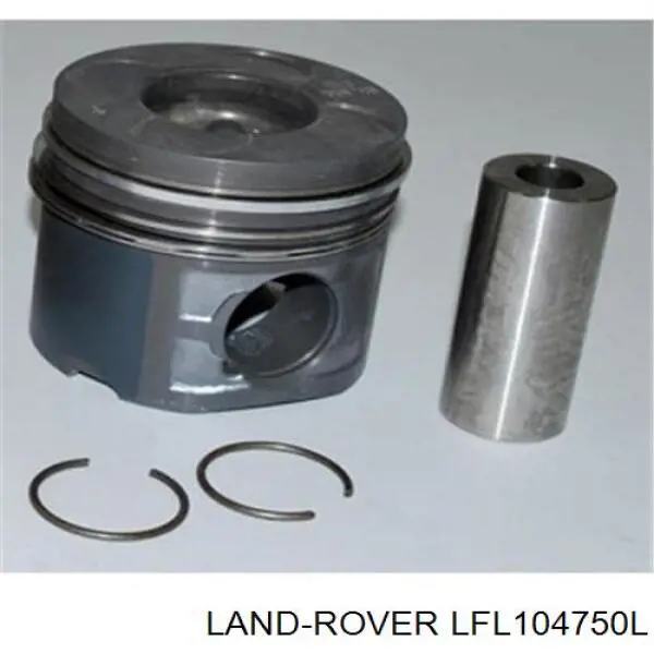  LFL104750L Land Rover