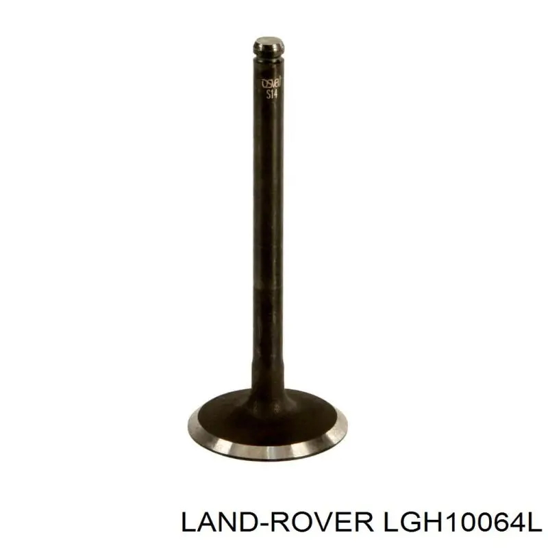 LGH10064L Land Rover клапан впускной