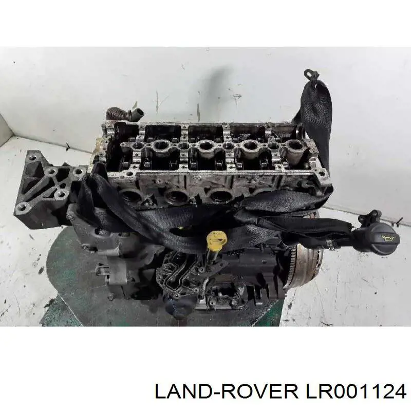 LR001124 Land Rover 