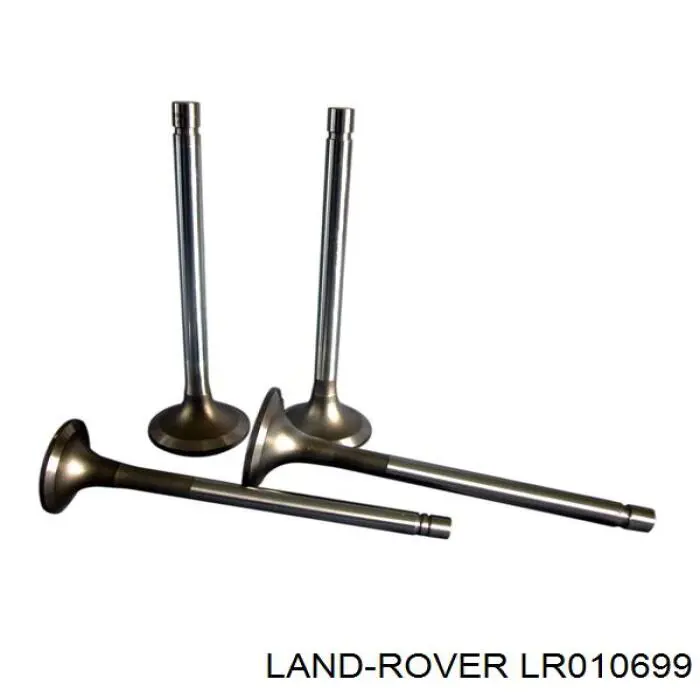 LR010699 Land Rover 