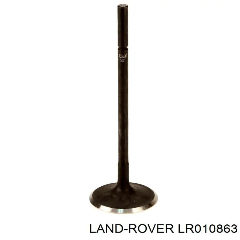  LR010863 Land Rover