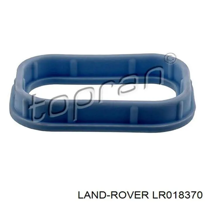 Прокладка впускного коллектора 11168392 Ford