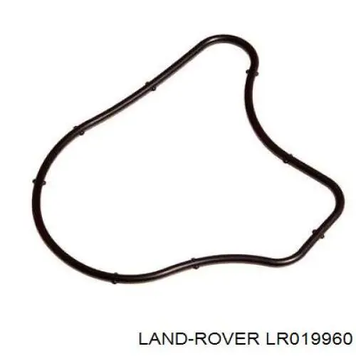 Vedante de bomba de vácuo para Land Rover Discovery (LR3)