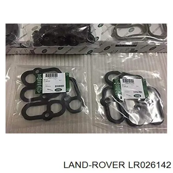 Прокладка головки блока цилиндров (ГБЦ), левая Jaguar AJ813953 цена, от 51.43 USD