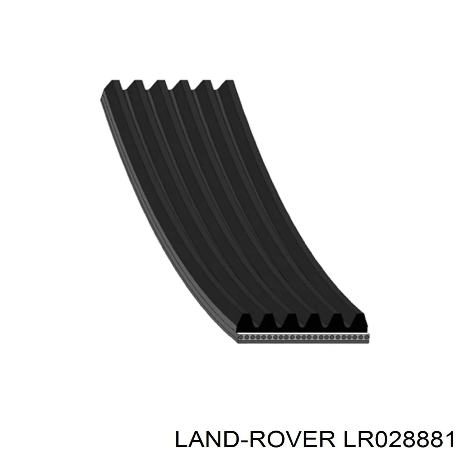 LR028881 Land Rover Поликлиновый ремень