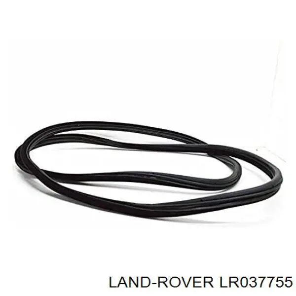Уплотнитель двери передней (на кузове) Land Rover LR037755 цена, от 173.32 USD