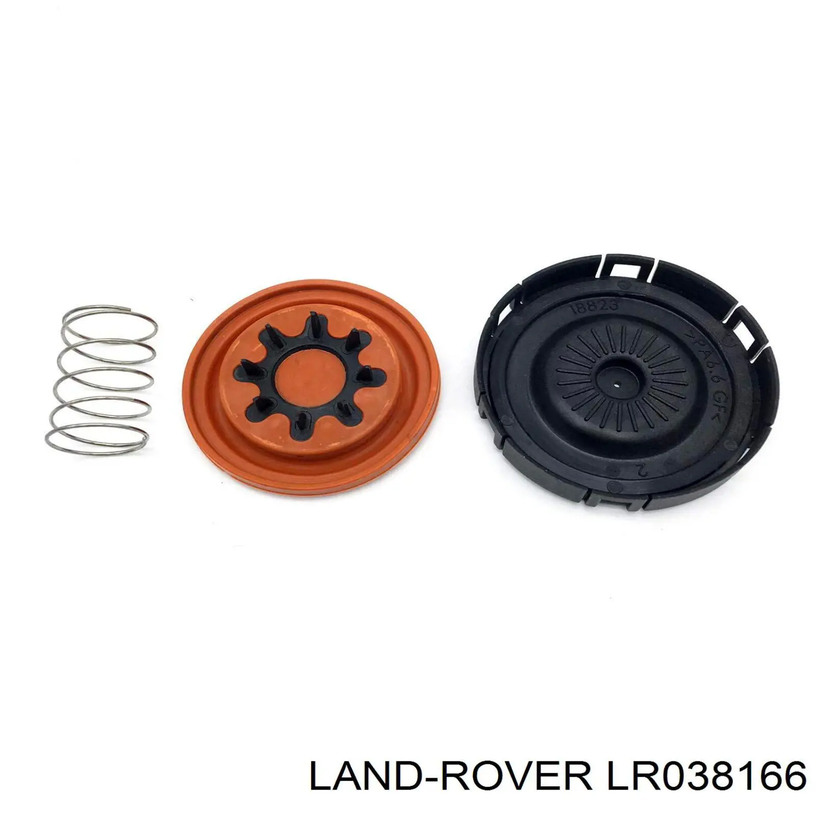 LR038166 Land Rover tampa de válvulas direita