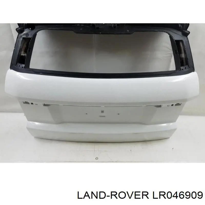 LR046909 Land Rover Задняя дверь