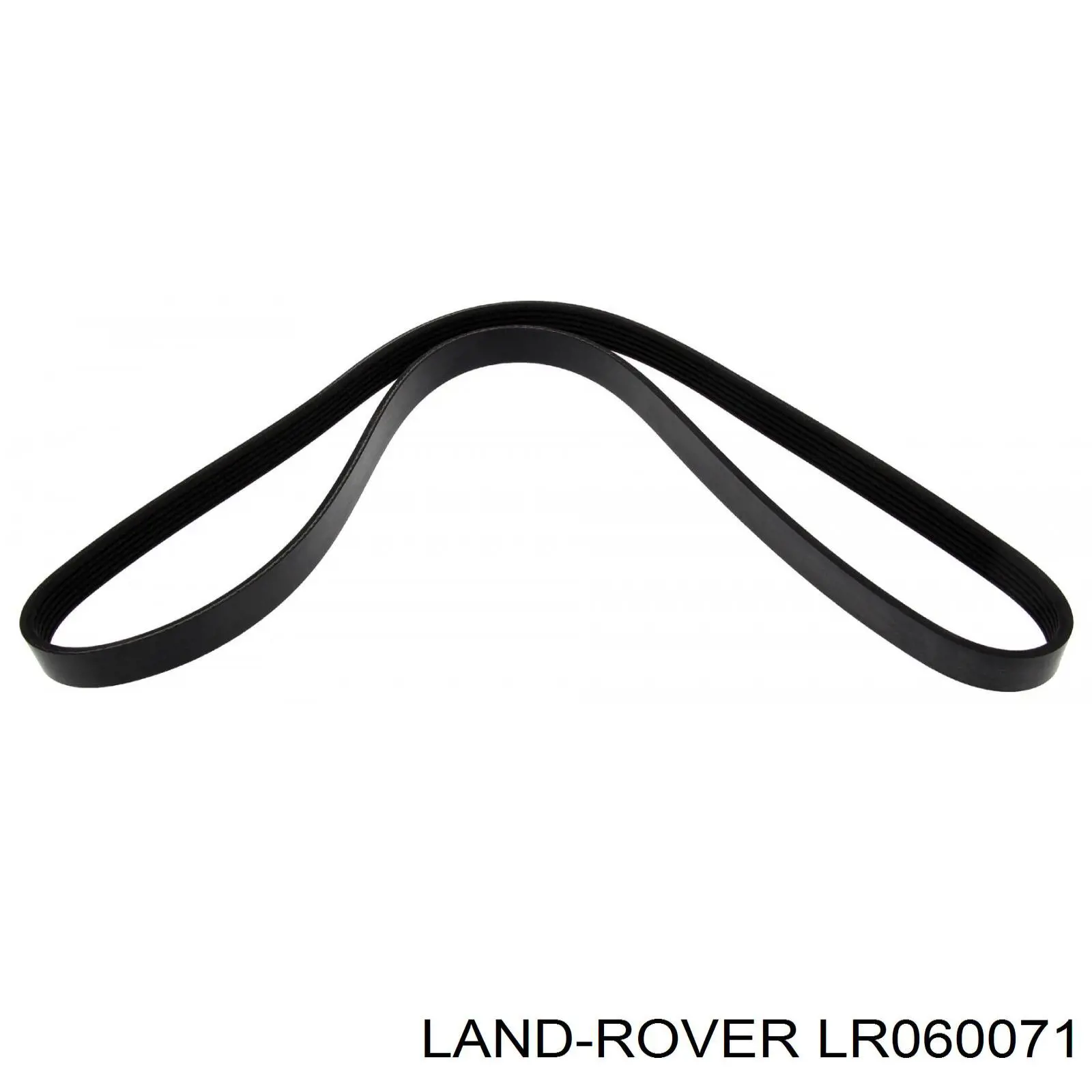 Correa poly v LR060071 Land Rover