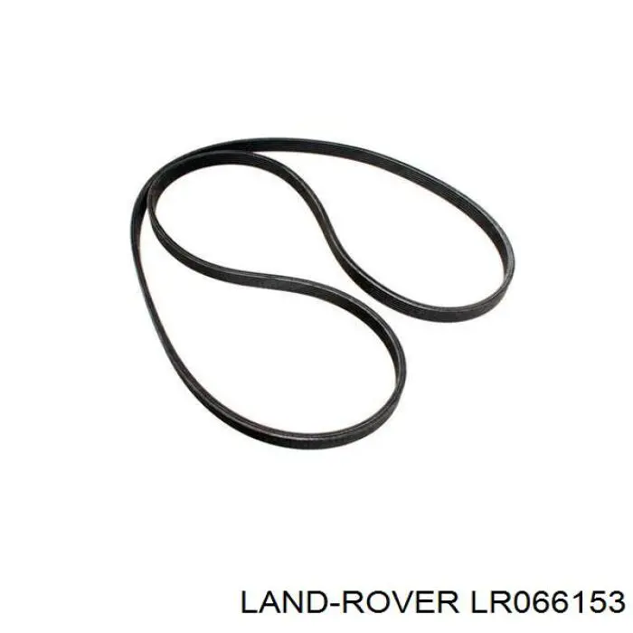 LR066153 Land Rover correia dos conjuntos de transmissão