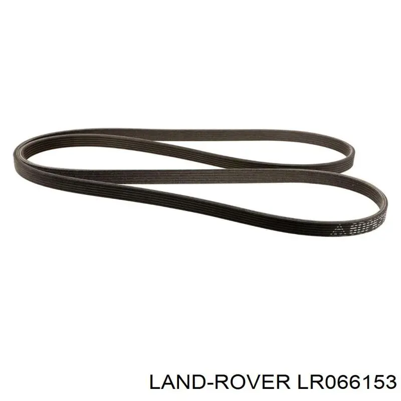 Correa trapezoidal LR066153 Land Rover