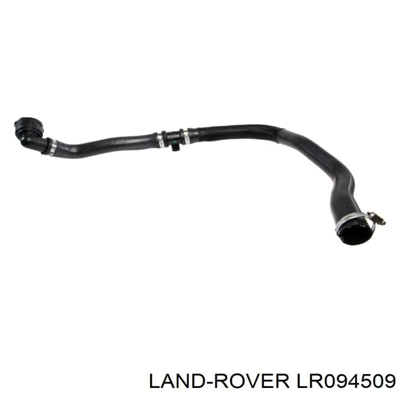 LR028236 Land Rover mangueira (cano derivado do radiador de esfriamento superior)