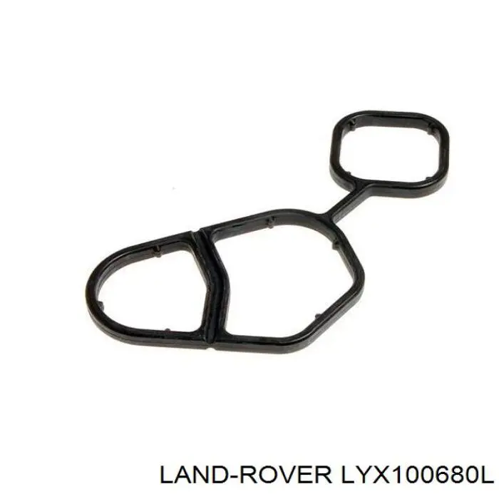  LYX100680L Land Rover