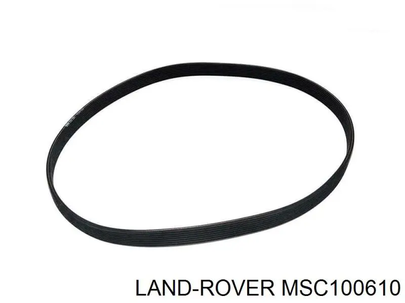 MSC100610 Land Rover Топливные форсунки