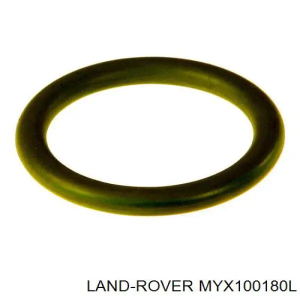  MYX100180L Land Rover