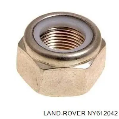  NY612042 Rover