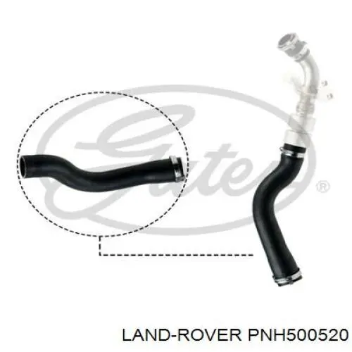 Mangueira (cano derivado) inferior do radiador de esfriamento para Land Rover Range Rover (L322)