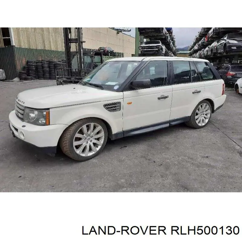 RLH500130 Land Rover цапфа (поворотный кулак задний левый)