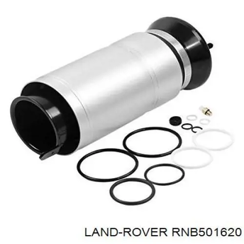 Амортизатор передний RNB501620 Land Rover