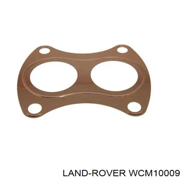  WCM10009 Land Rover