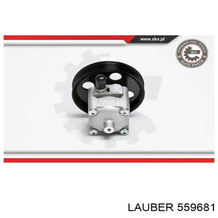 Насос гидравлики Lauber 559681 цена, от 145.67 USD