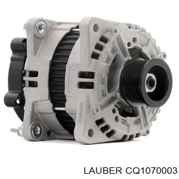 Купить CQ1070003 Lauber Коллектор ротора генератора