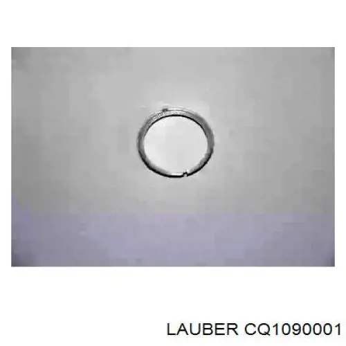 CQ1090001 Lauber крышка генератора задняя