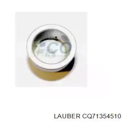 Поршень супорту гальмівного, заднього CQ71354510 Lauber