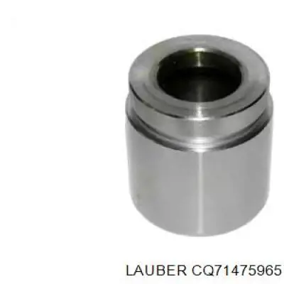 Купить D025467 Autofren Поршень суппорта тормозного переднего