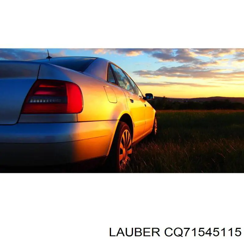 CQ71545115 Lauber поршень суппорта тормозного переднего