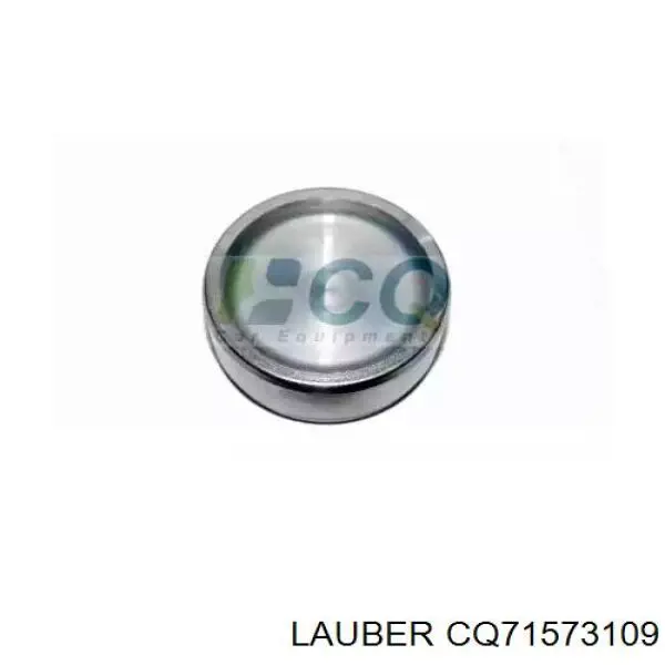  D025713 Autofren