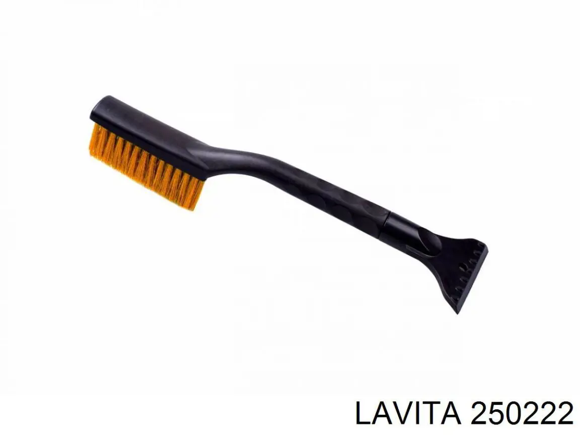  250222 Lavita