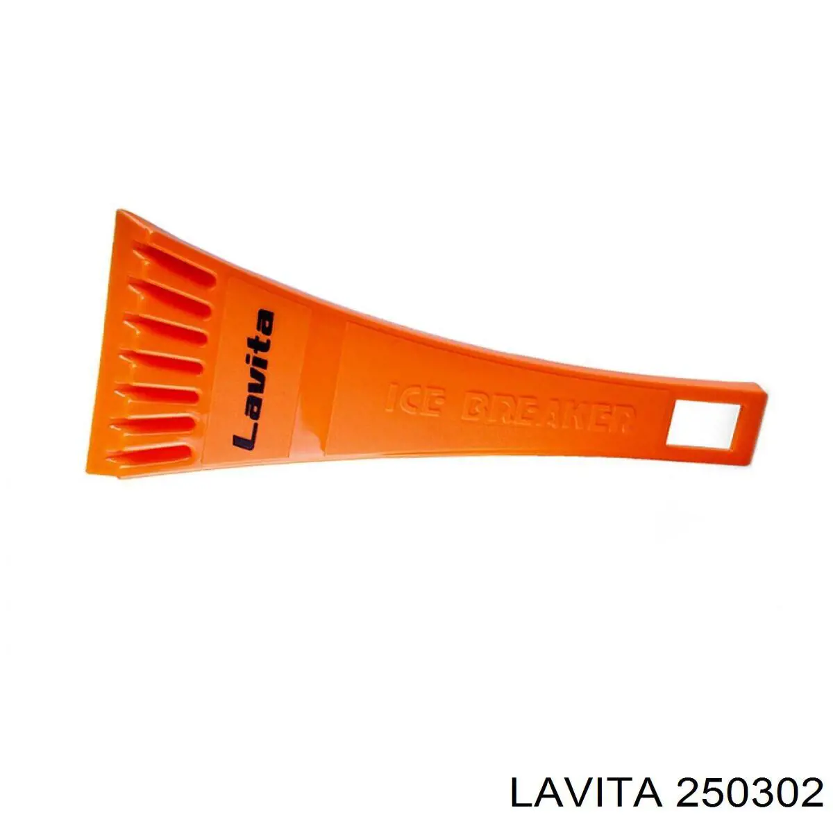  250302 Lavita